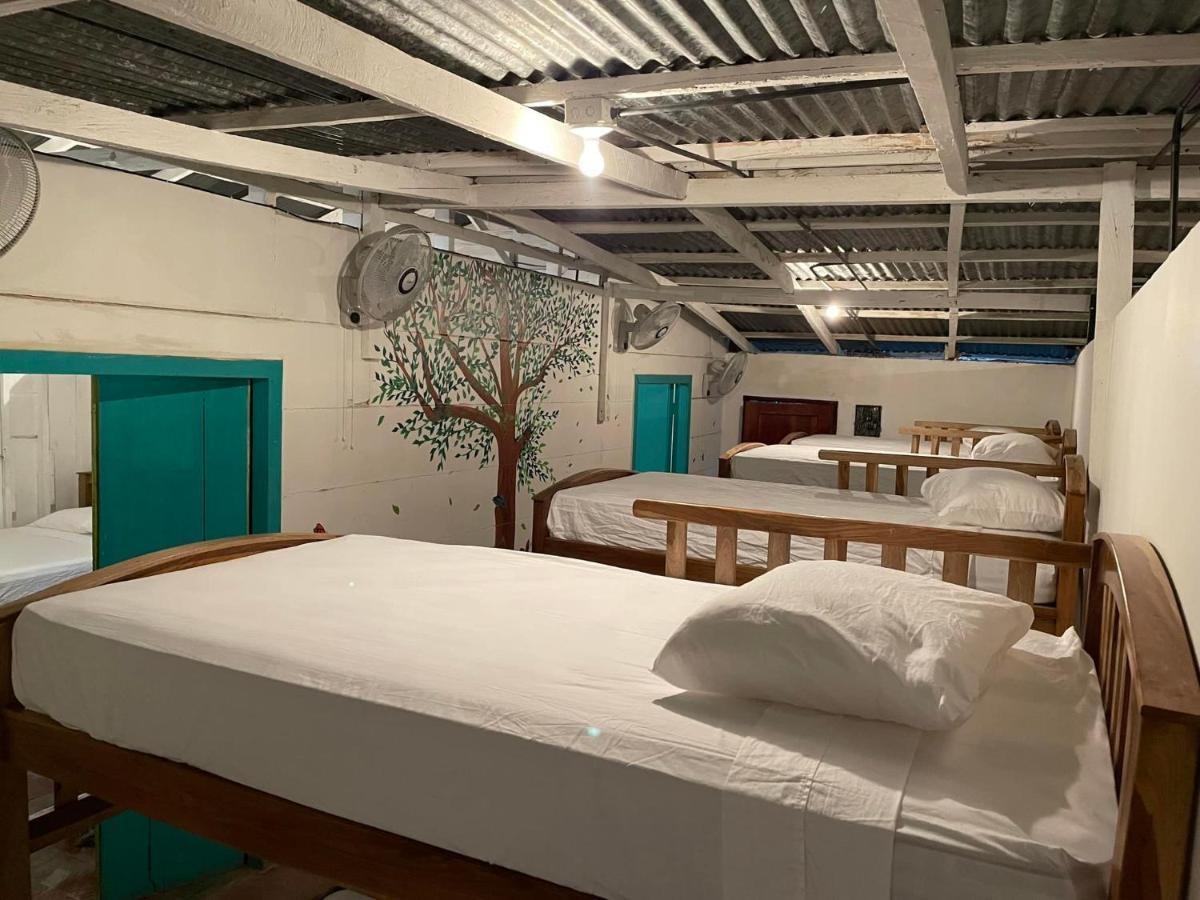 Mango Cafe And Hostel Сан Хуан дел Сур Екстериор снимка